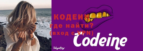 соль ск Снежногорск